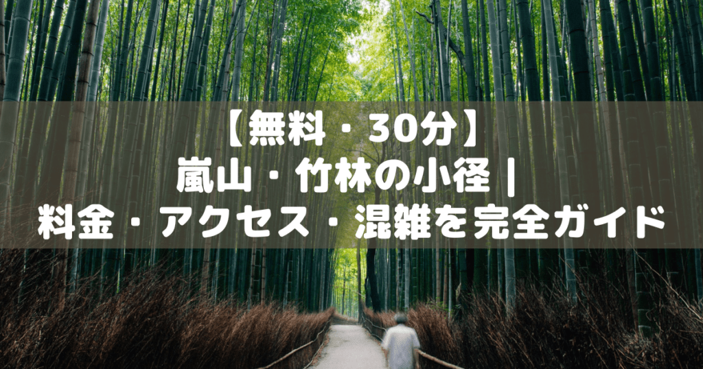 アイキャッチ_嵐山竹林