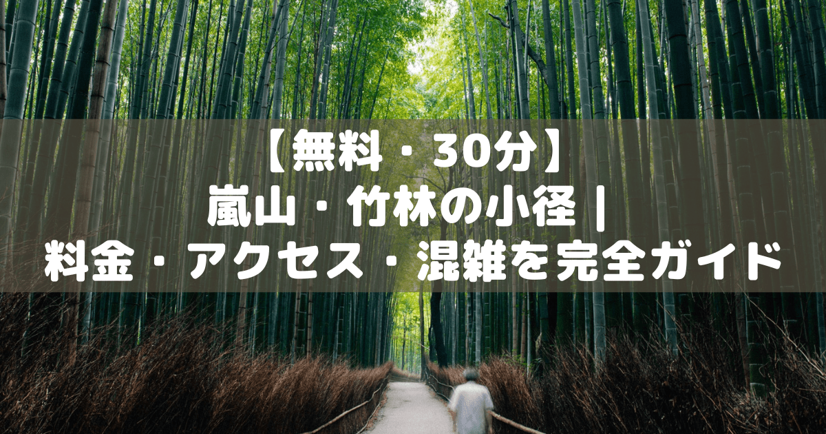 アイキャッチ_嵐山竹林