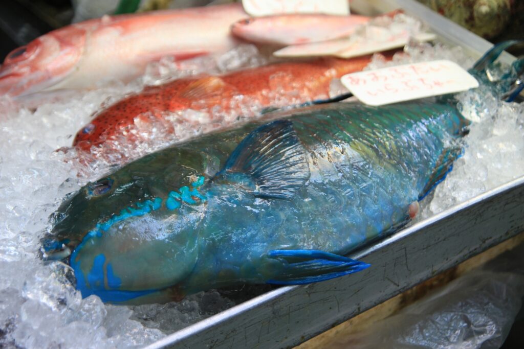 牧志公設市場の魚