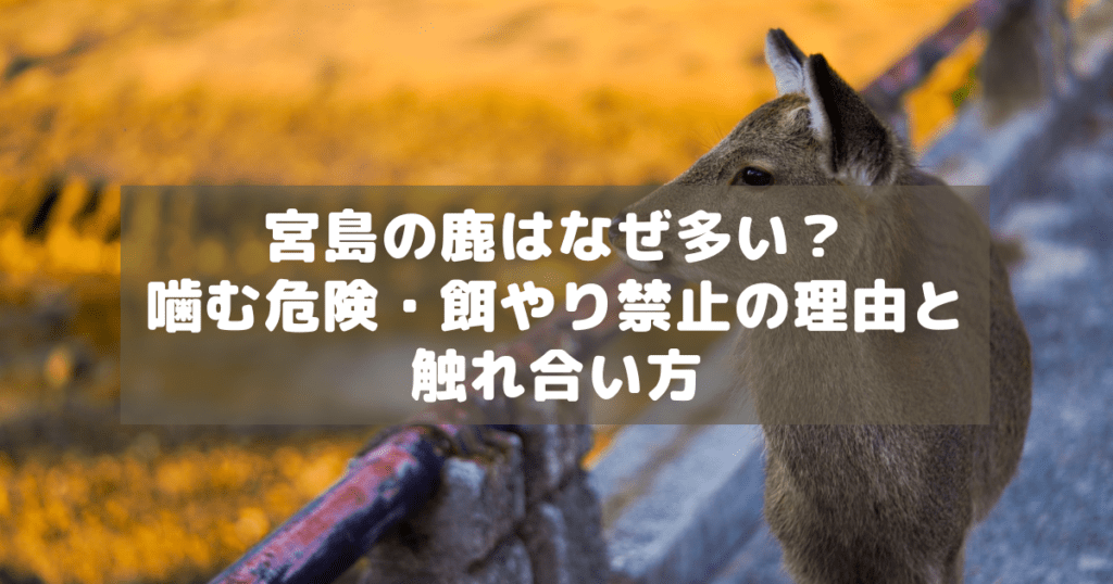 アイキャッチ_宮島の鹿