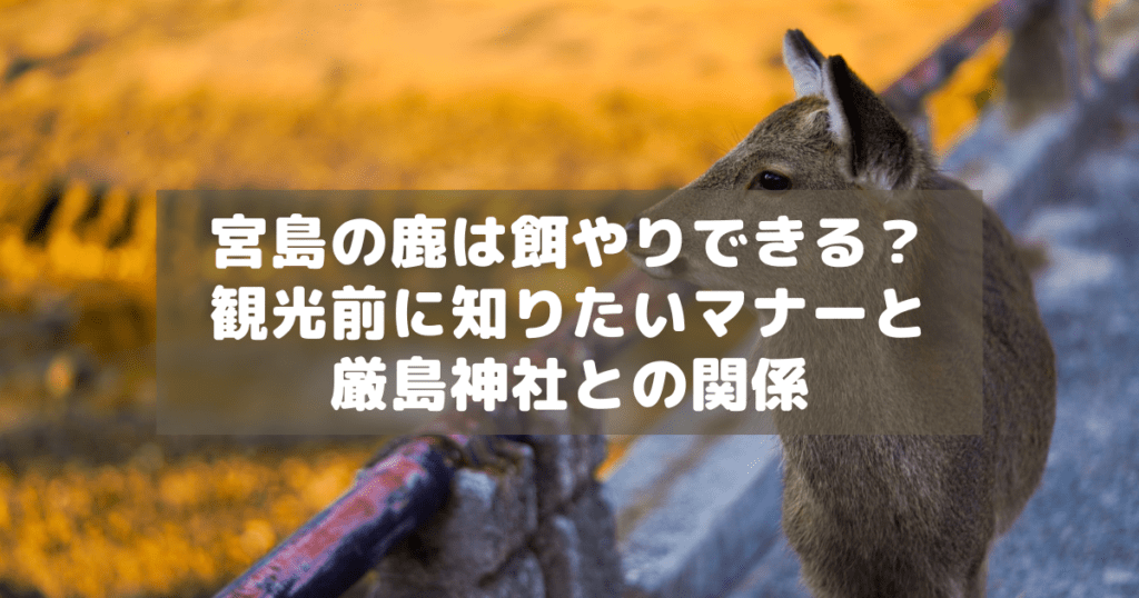 アイキャッチ_宮島の鹿