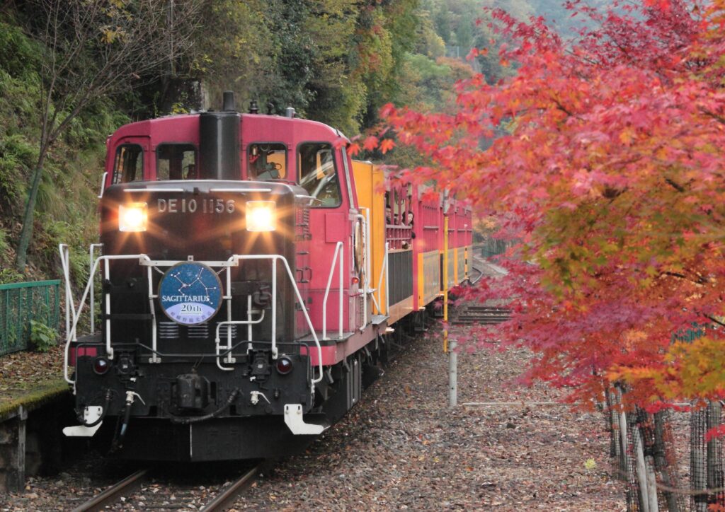 秋の嵯峨野トロッコ列車