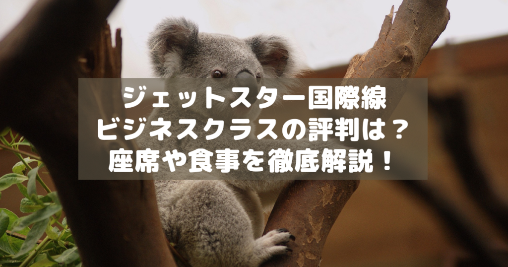 アイキャッチ_ジェットスタービジネスクラス