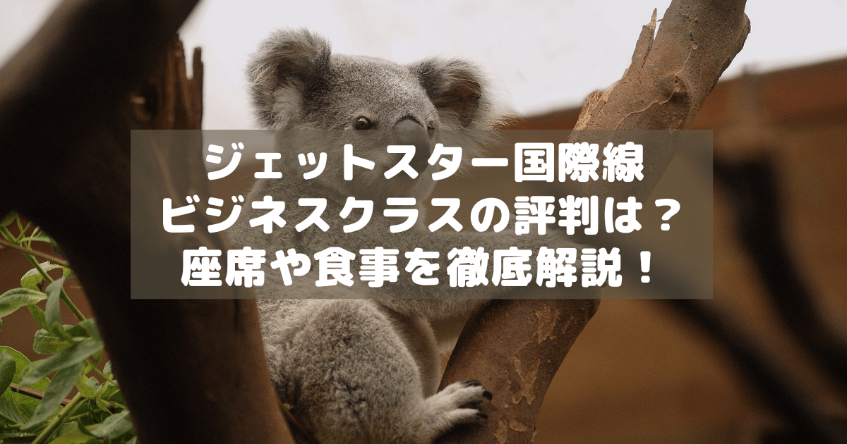 アイキャッチ_ジェットスタービジネスクラス