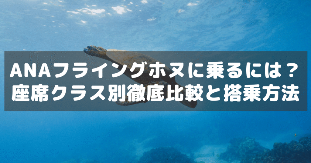 アイキャッチ_フライングホヌ