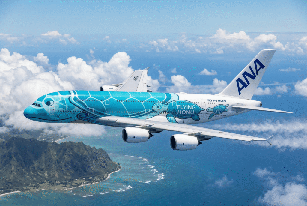 フライングホヌ