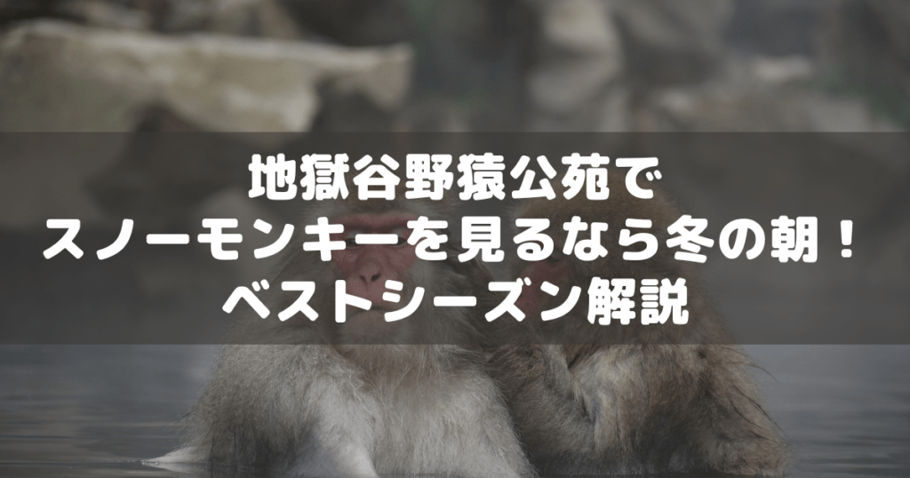 アイキャッチ_地獄谷野猿公苑