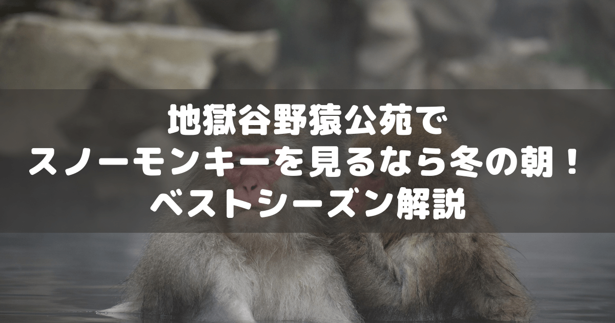 アイキャッチ_地獄谷野猿公苑