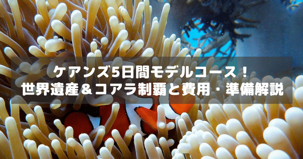 アイキャッチ_ケアンズモデルコース